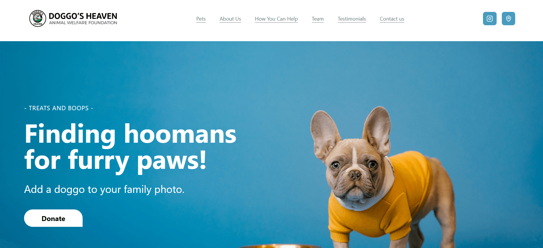 NGO Website